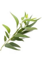 Load image into Gallery viewer, Body Scrub