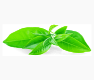 Load image into Gallery viewer, Body Scrub