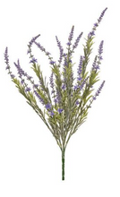 Load image into Gallery viewer, Body Scrub